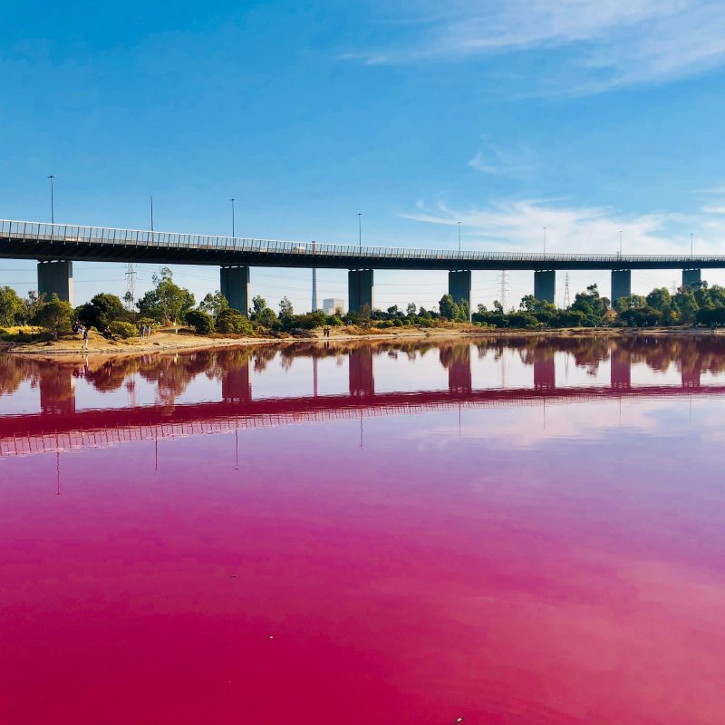 Pink Lake Melbourne Australia