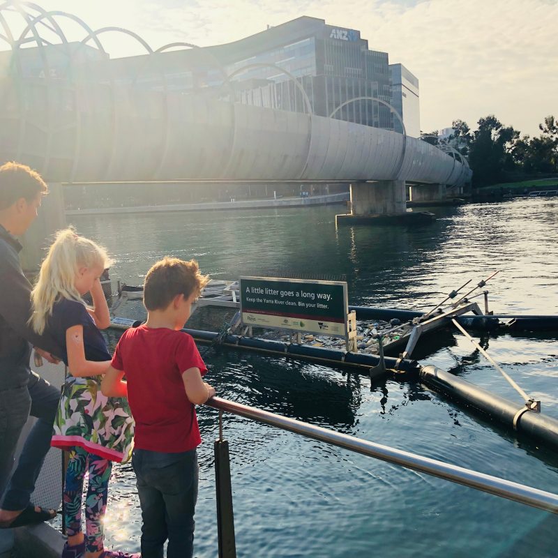 Bandalong Litter Trap - Melbourne Australia